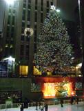 NYC 12 23 07 011crop.jpg